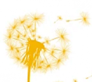 silhouette dandelion on white background 260nw 706633531 unbenannt 2